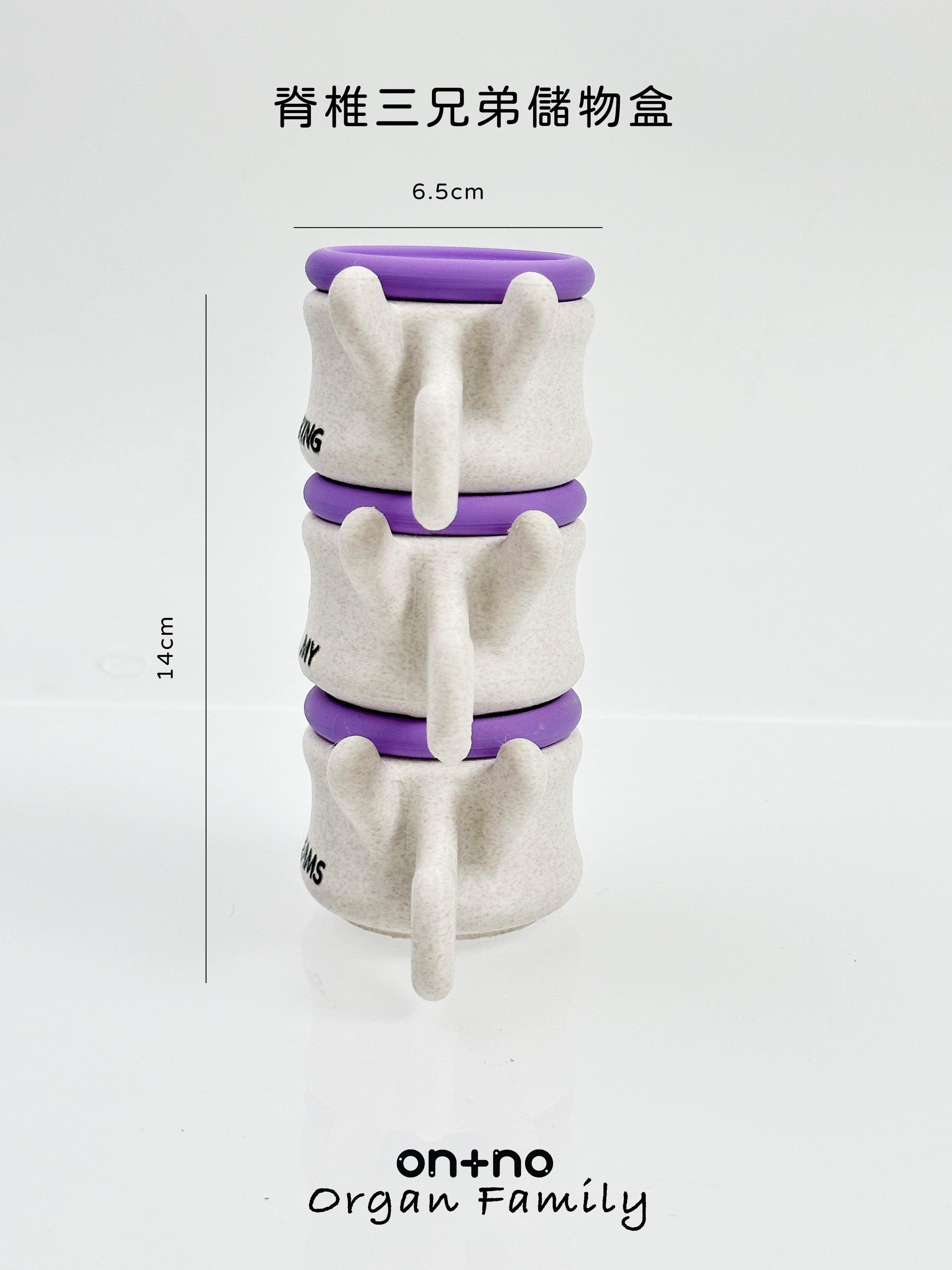 Spine Storage Box Trio