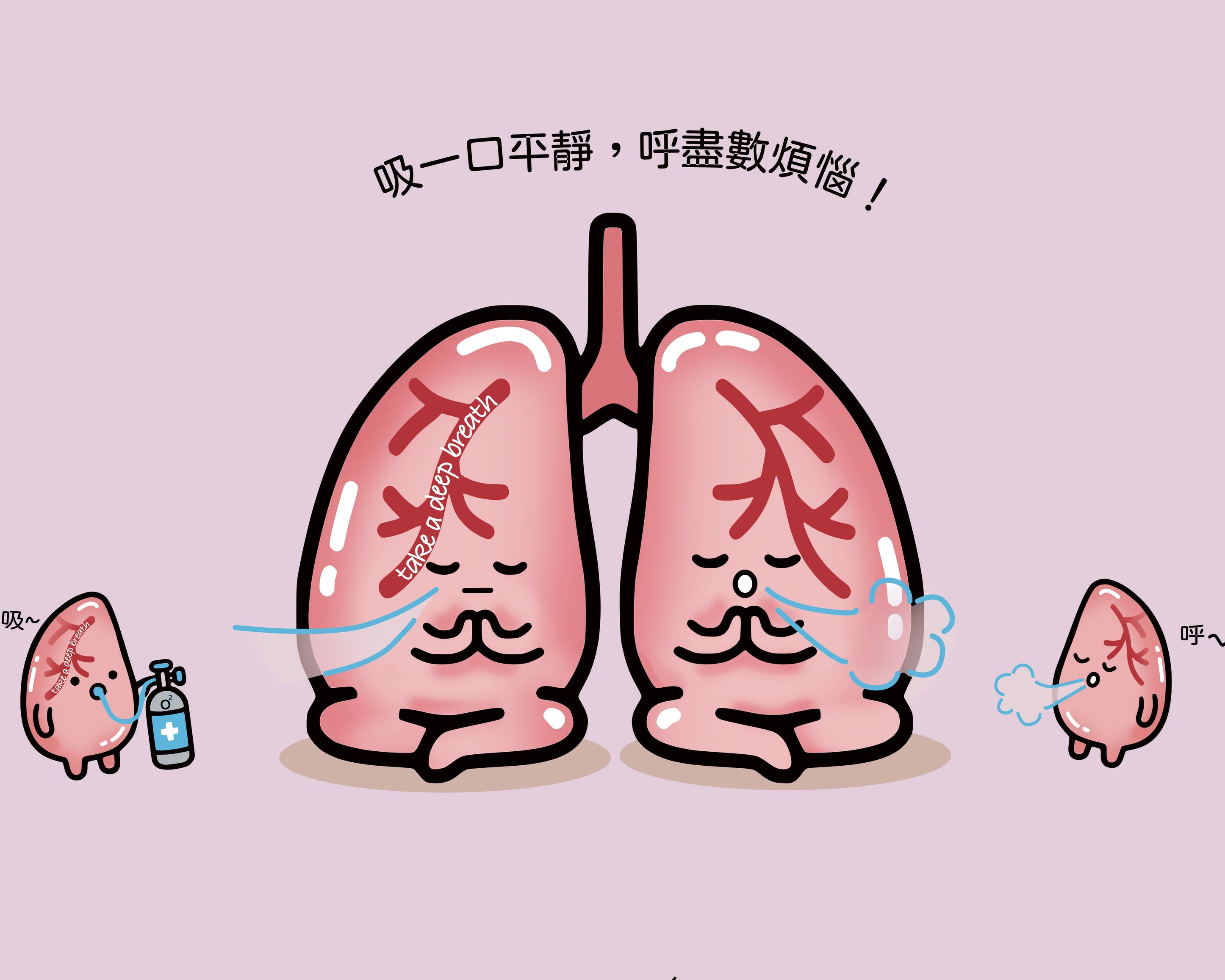 器官明信片