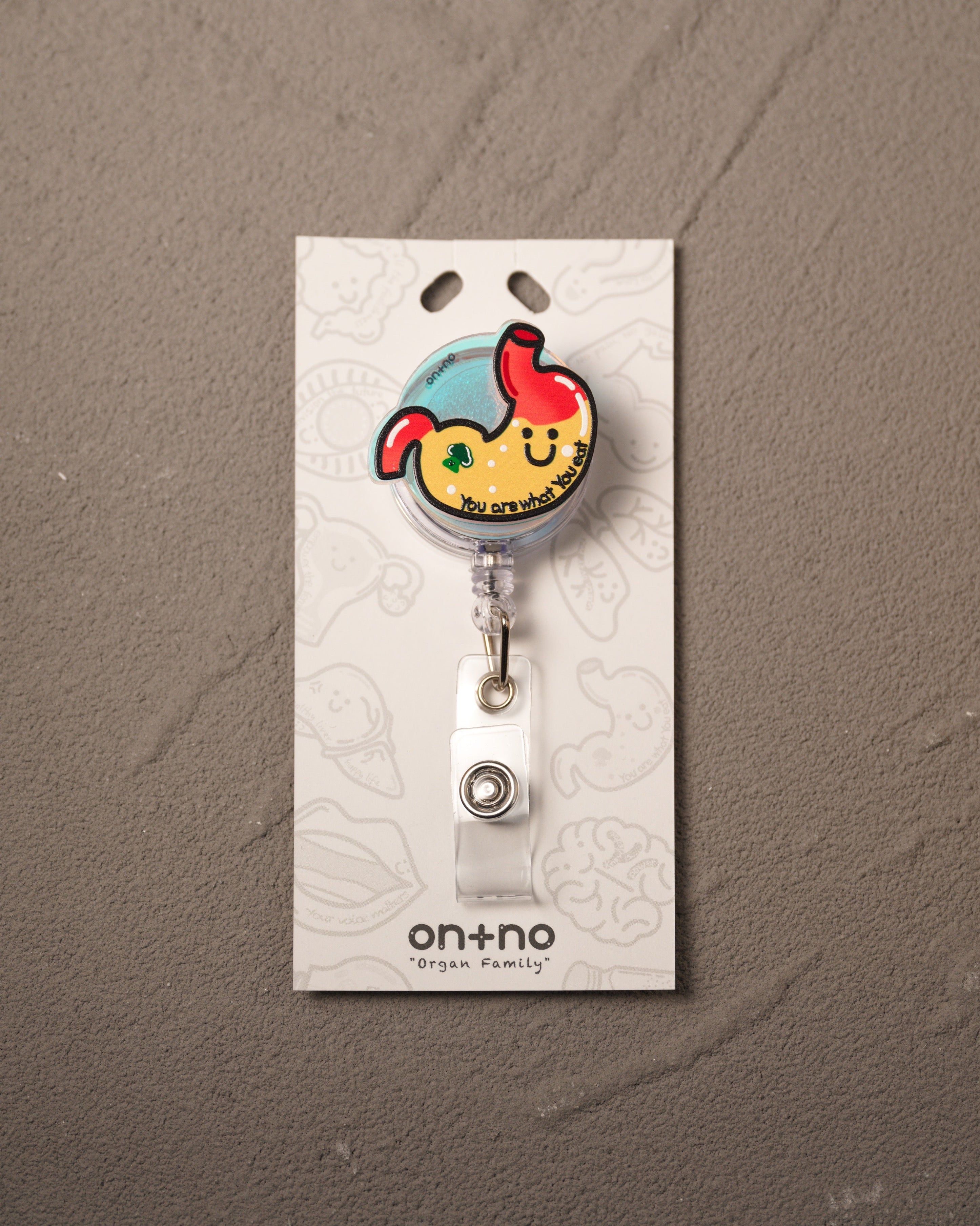 Retractable badge holder - Stomach