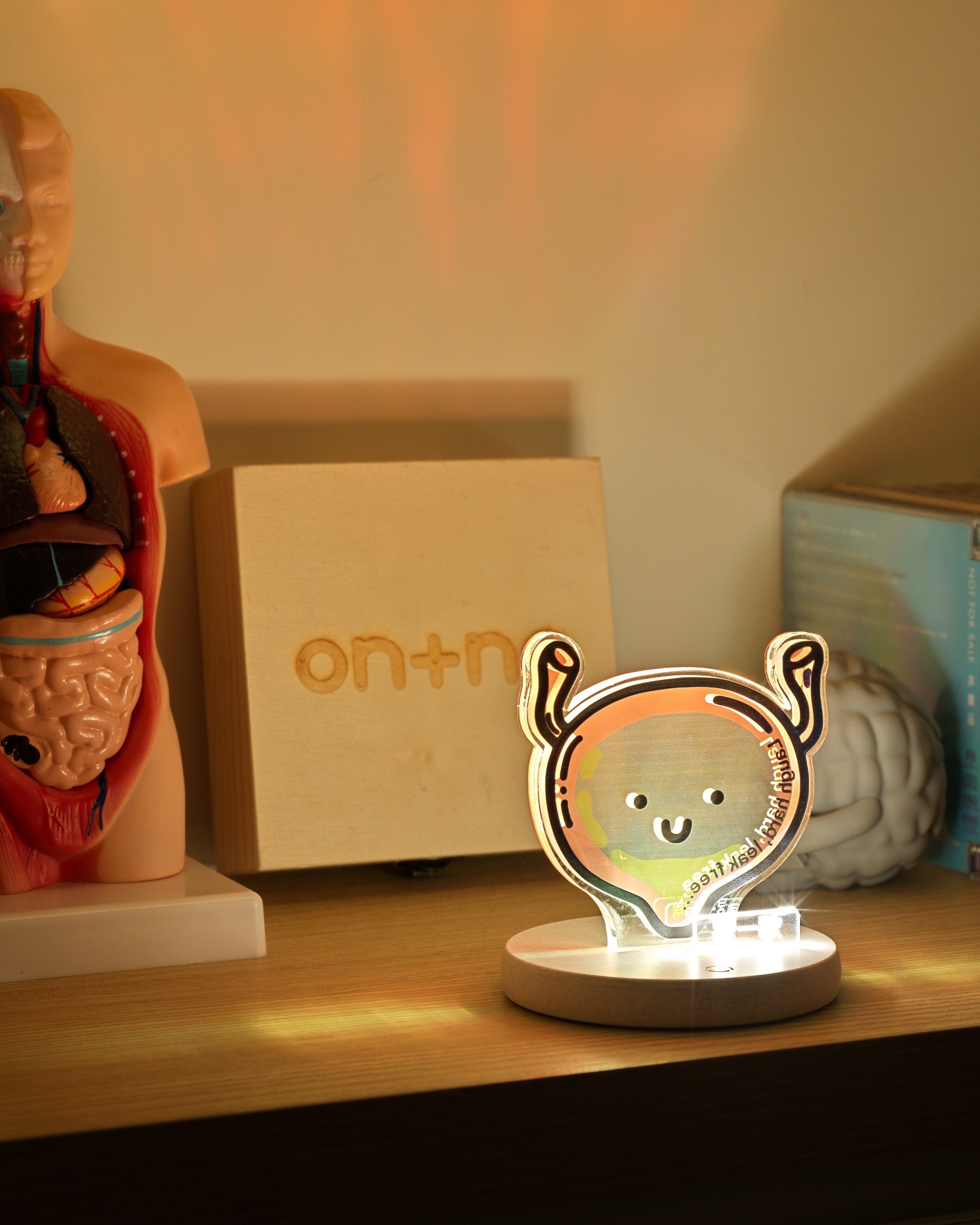night-light-bladder-01
