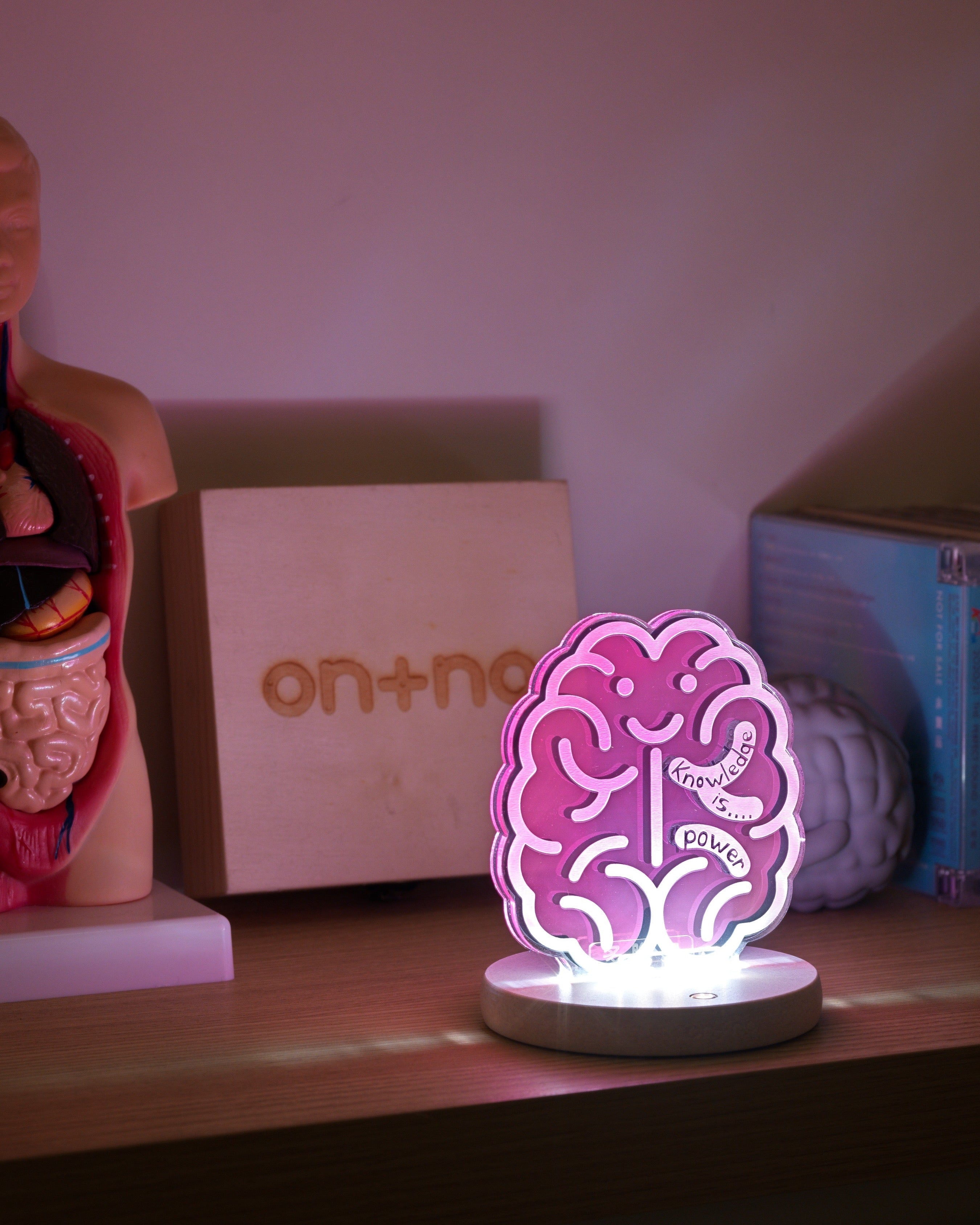 night-light-brain-03