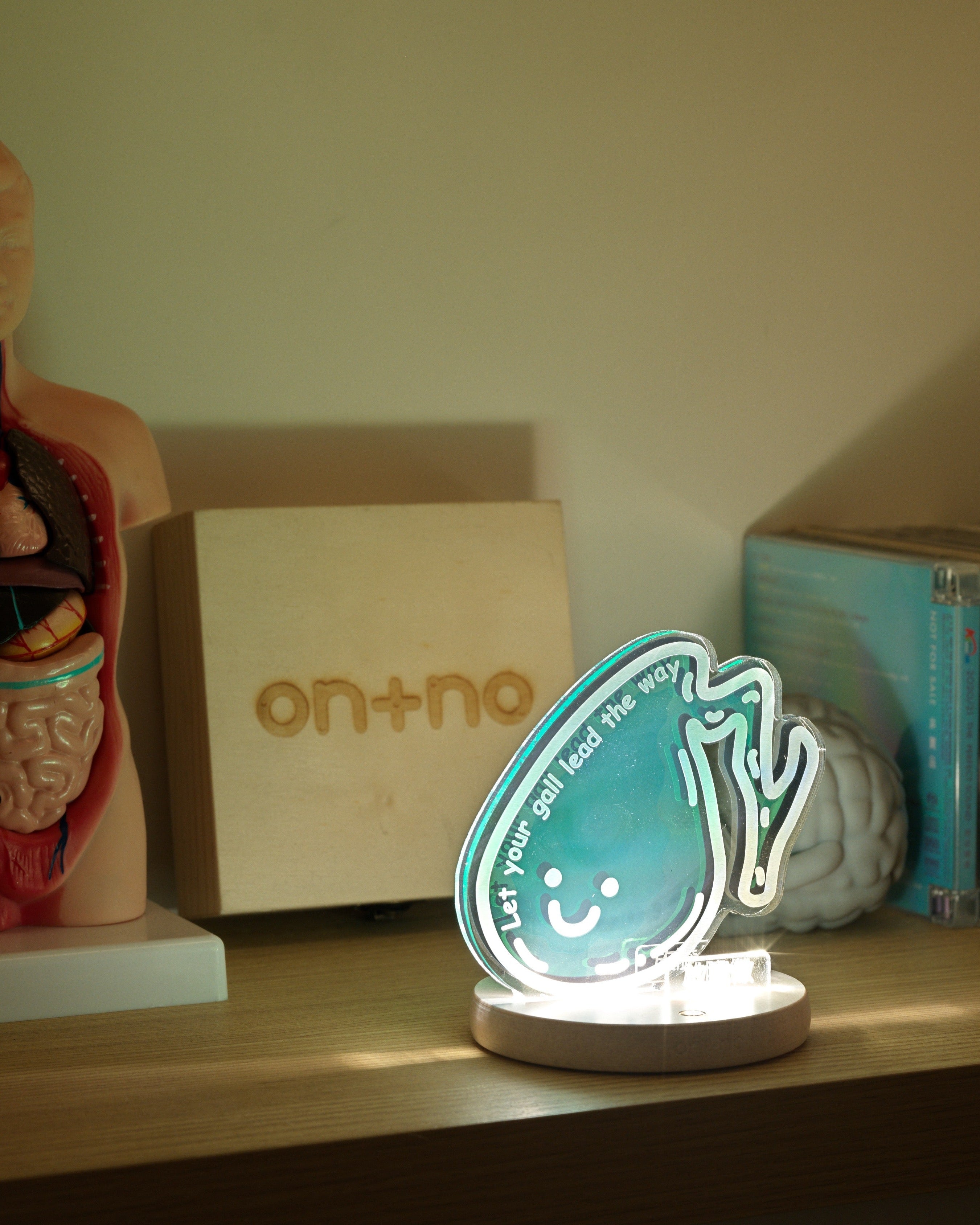 night-light-gallbladder-02