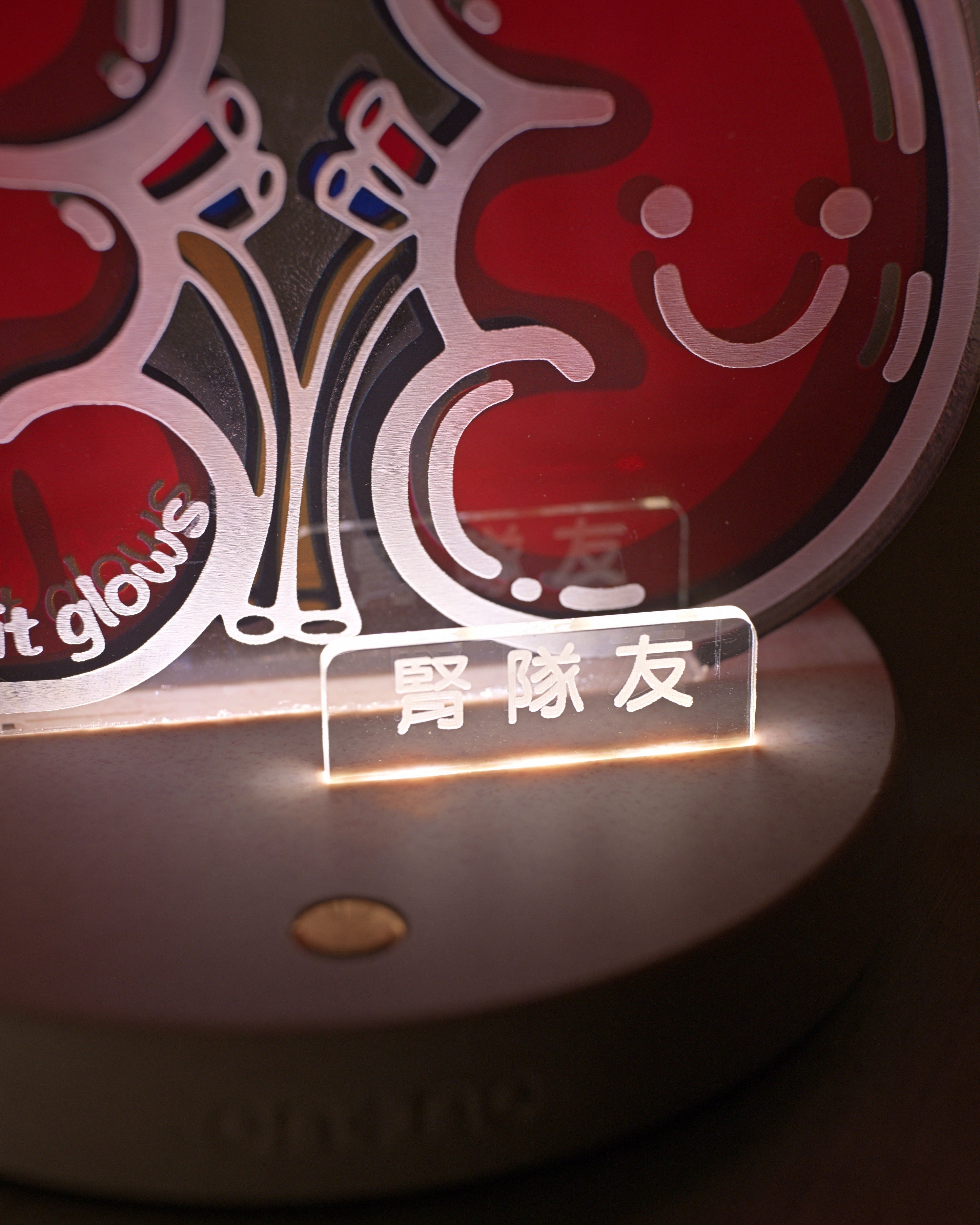 night-light-kidney-03