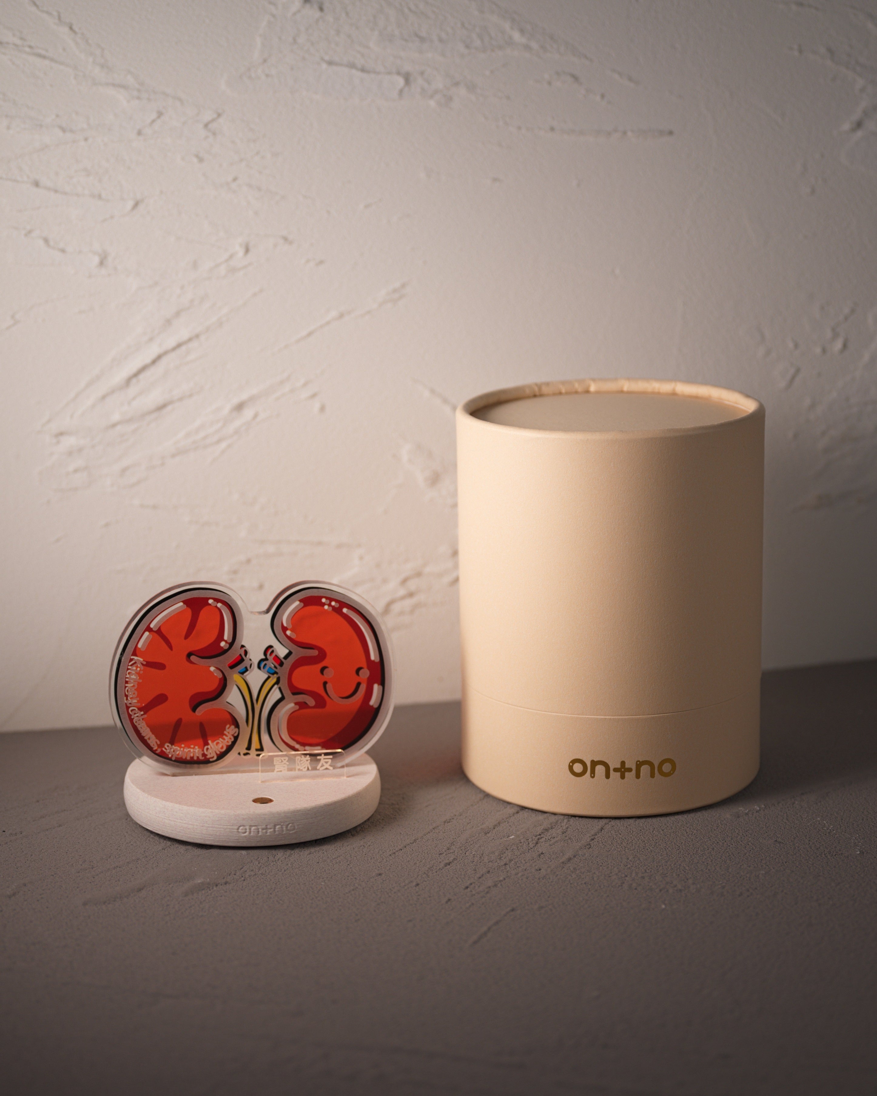 night-light-kidney-04