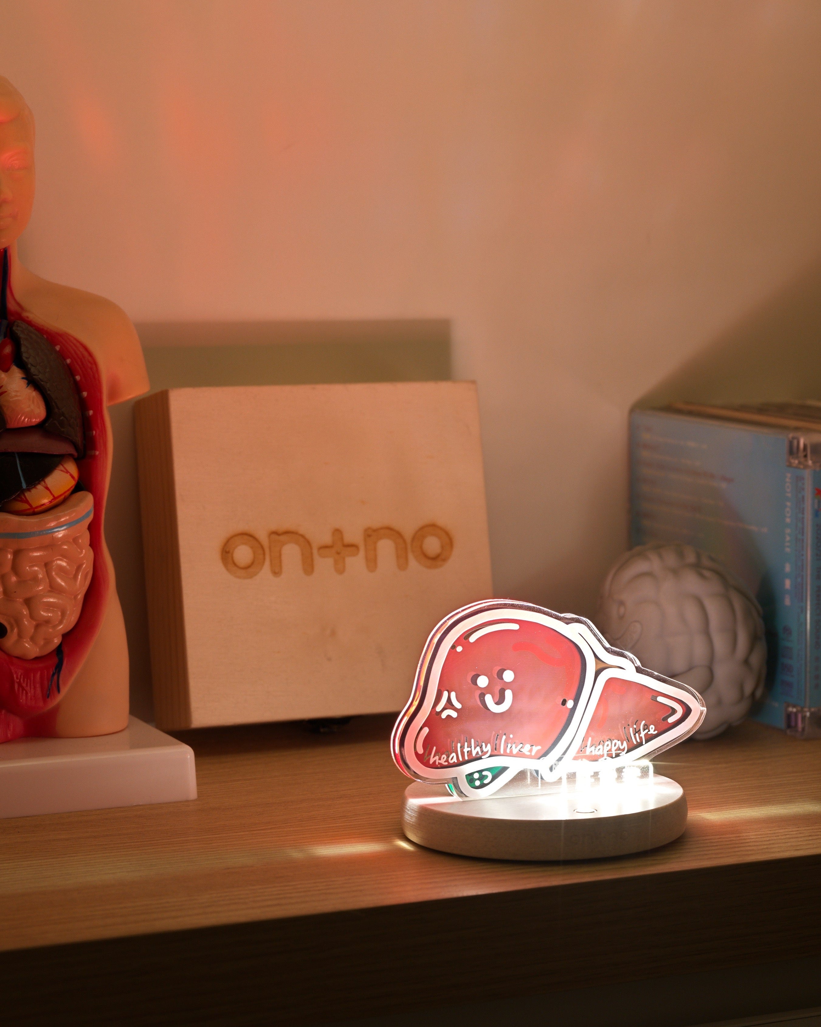 night-light-liver-01