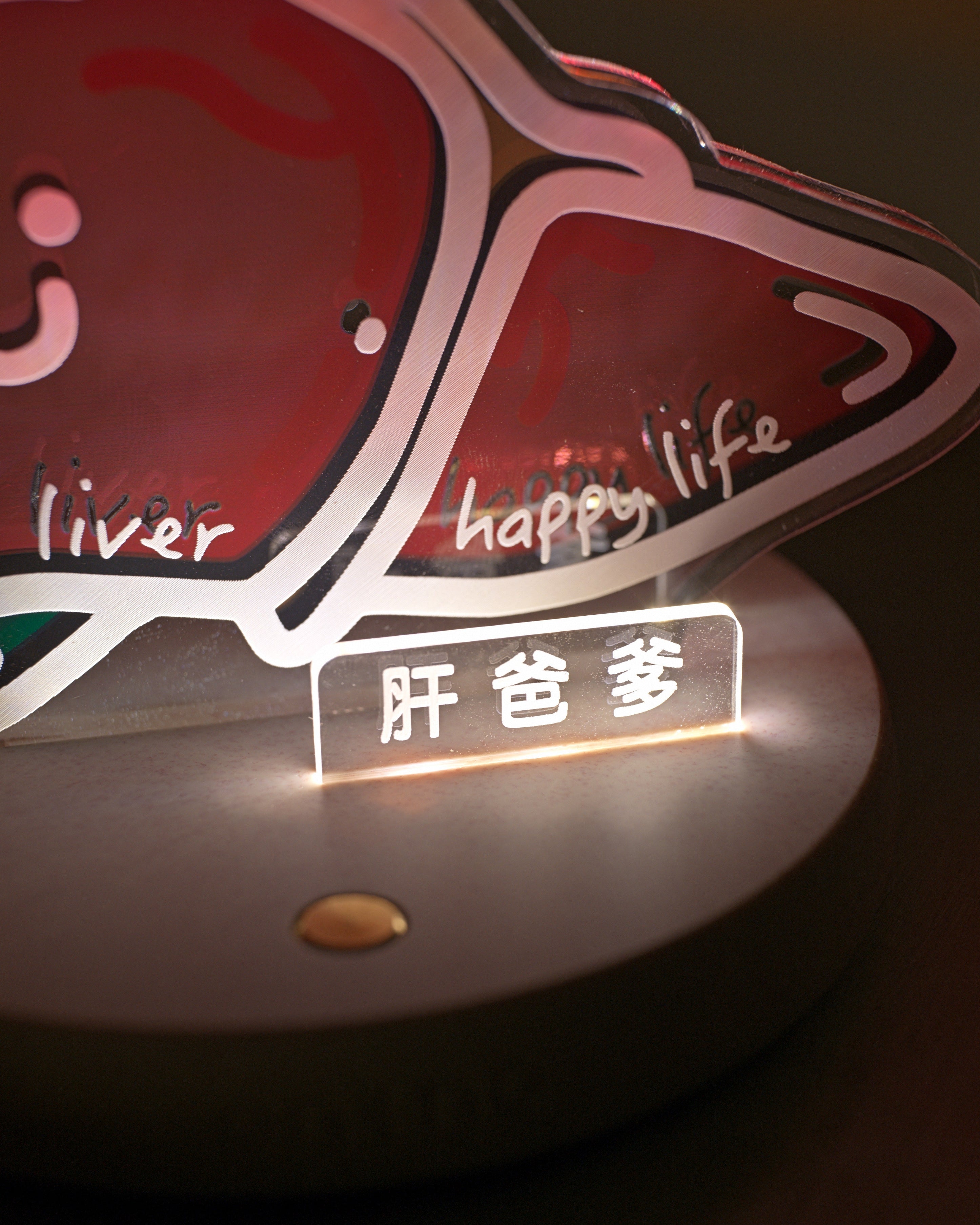 night-light-liver-03