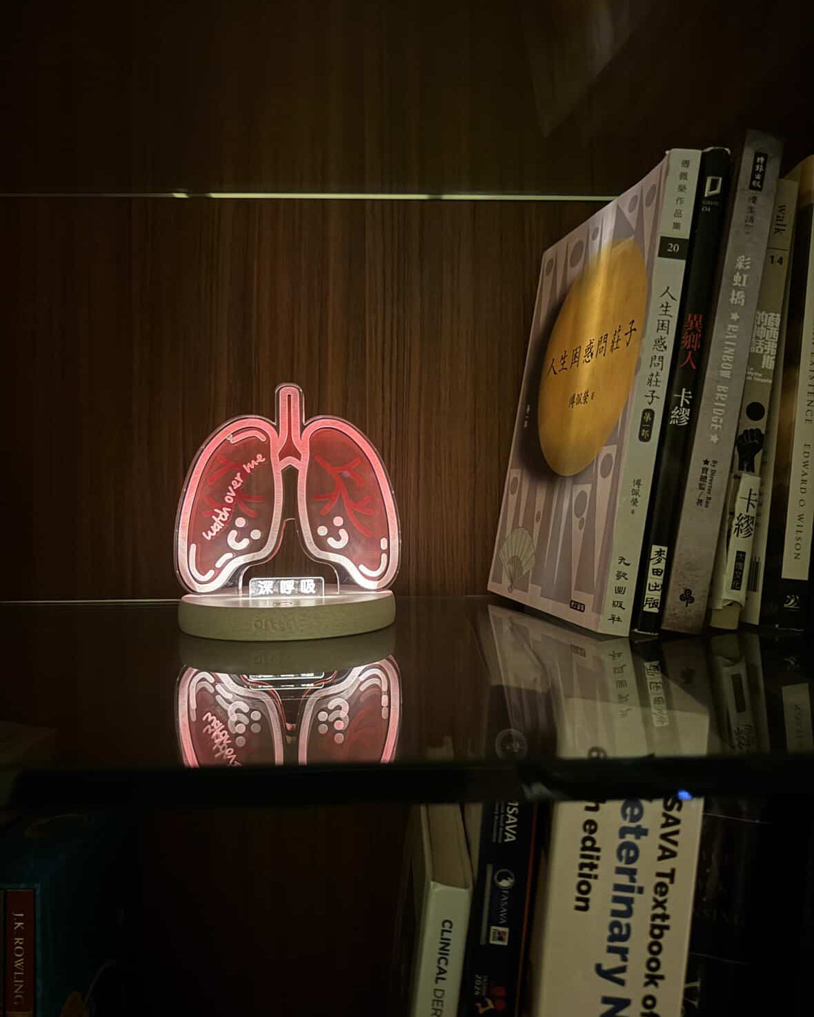 night-light-lung-04