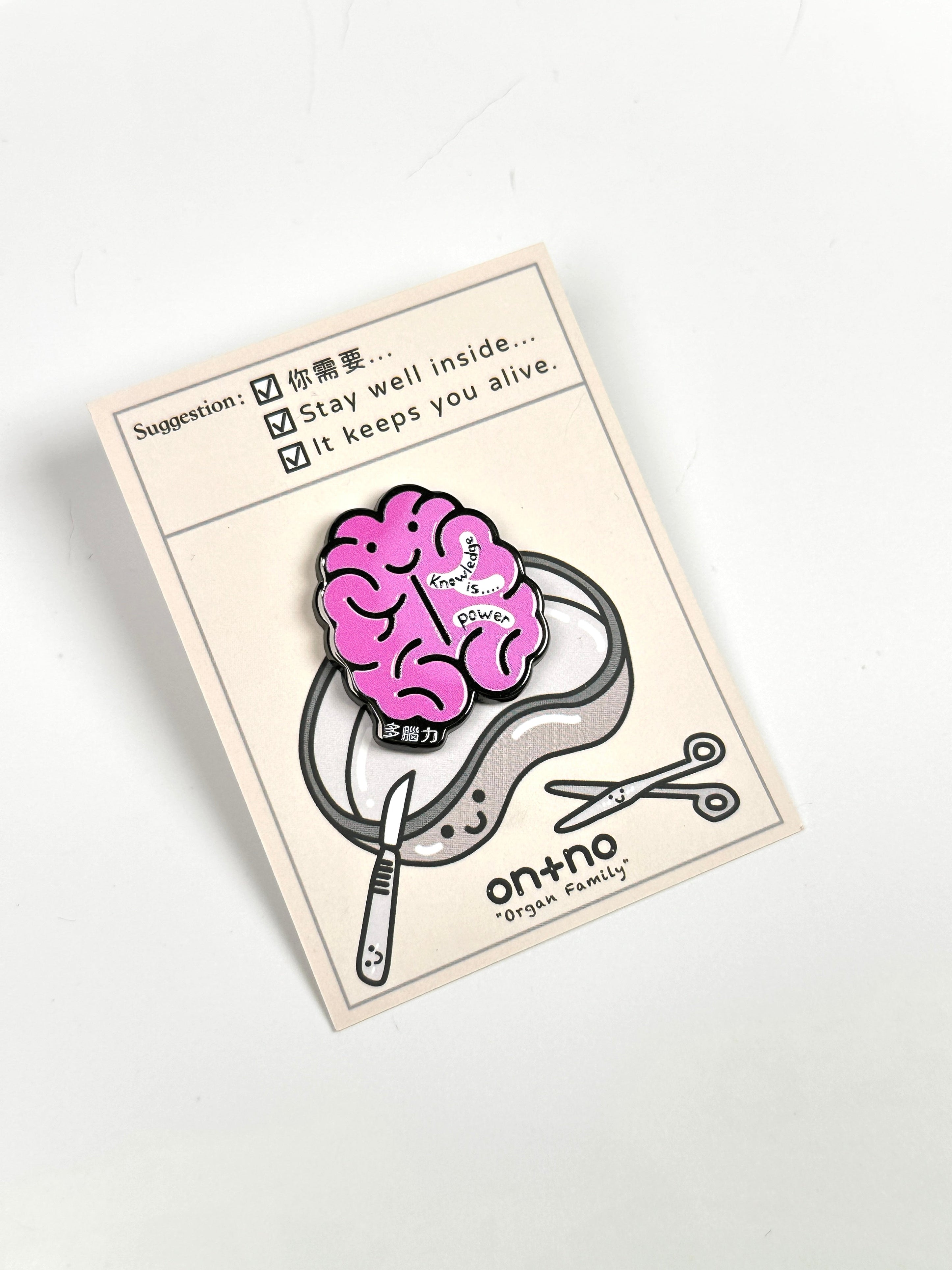 器官襟針/磁石-大腦