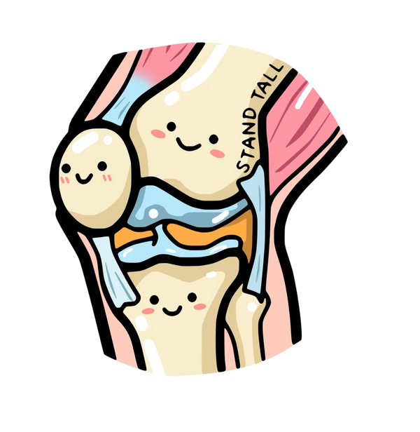 Patella