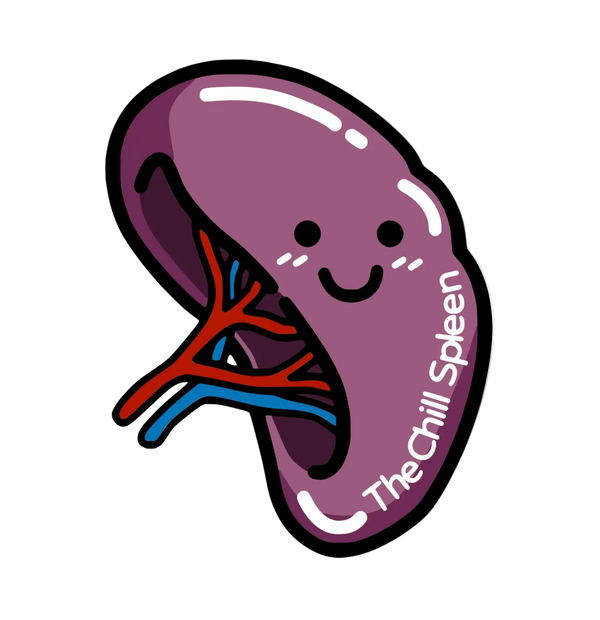 Spleen