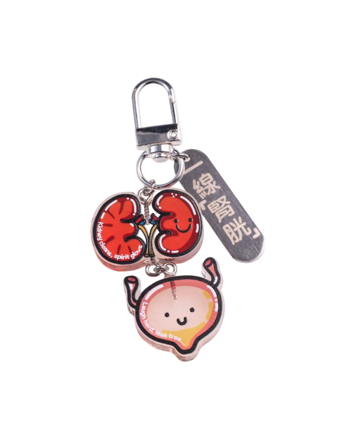 Organ Keychain - Kidney and Bladder "Kidney and Bladder on a Line"