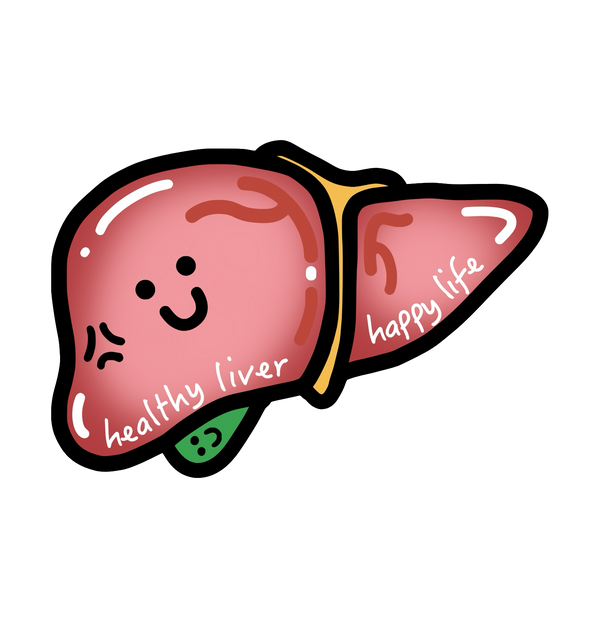 Liver