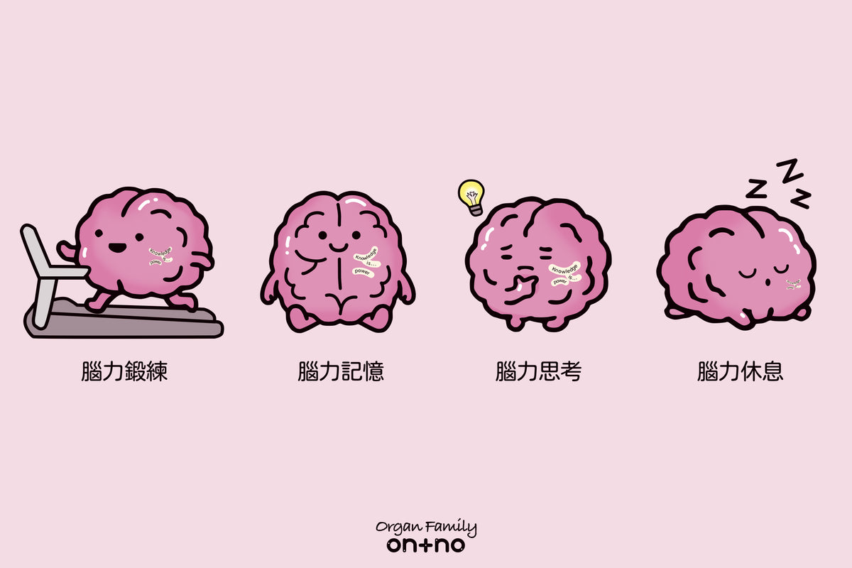 器官明信片