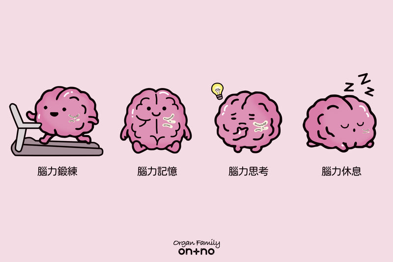 器官明信片