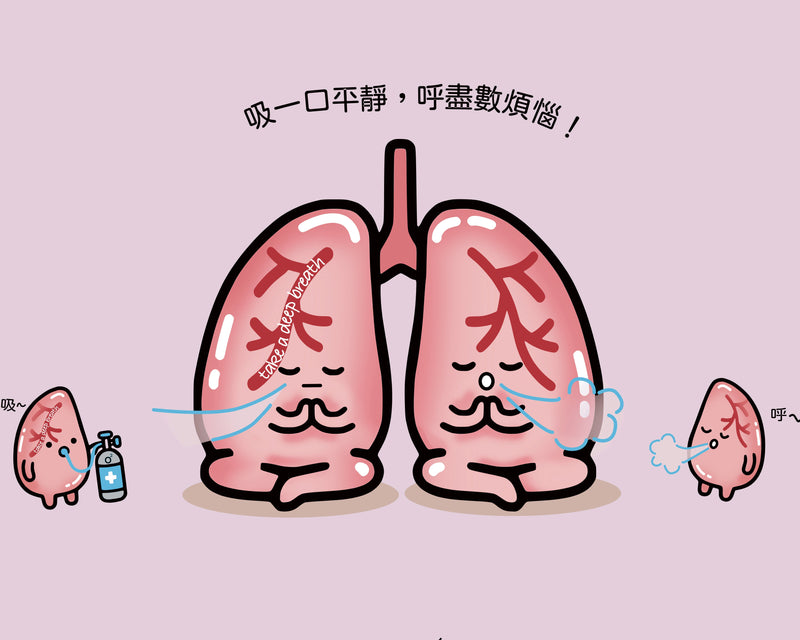 器官明信片