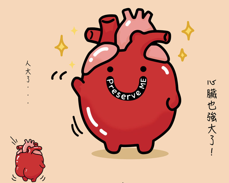 器官明信片