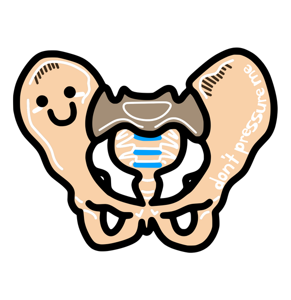 Pelvis
