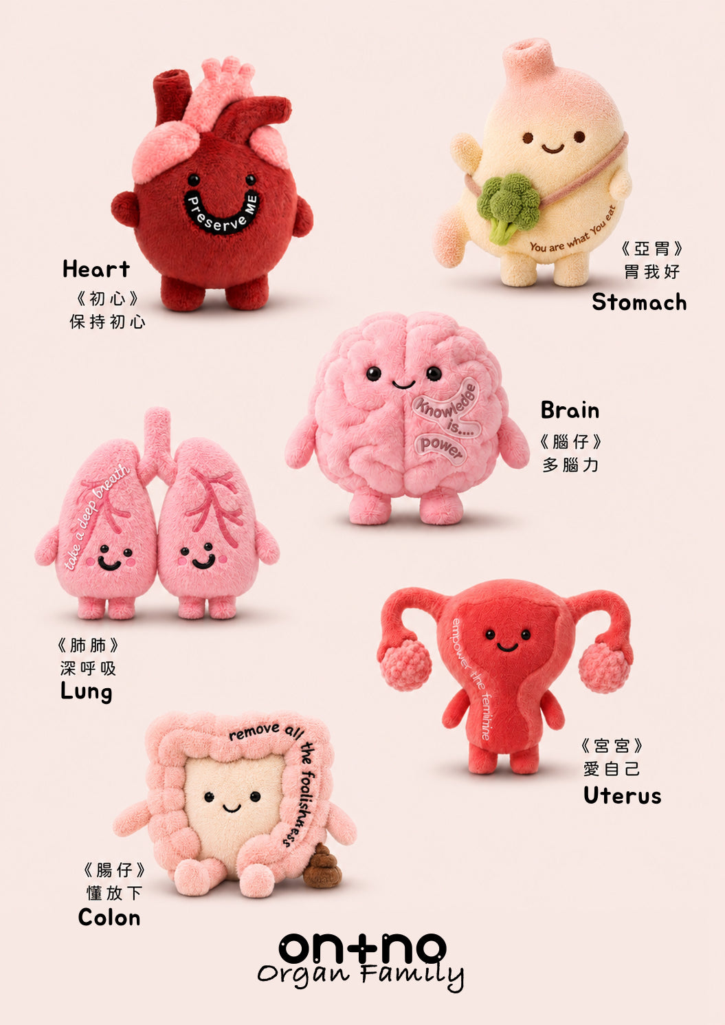 Collection feature image