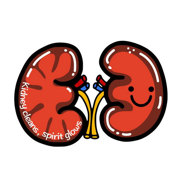 Kidney-God now