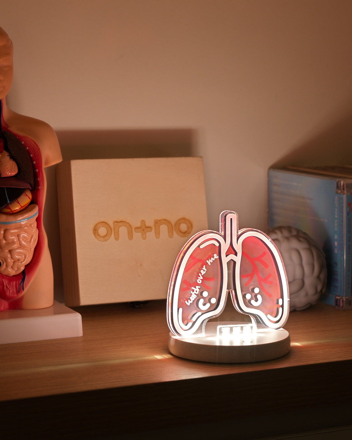 Lung night light