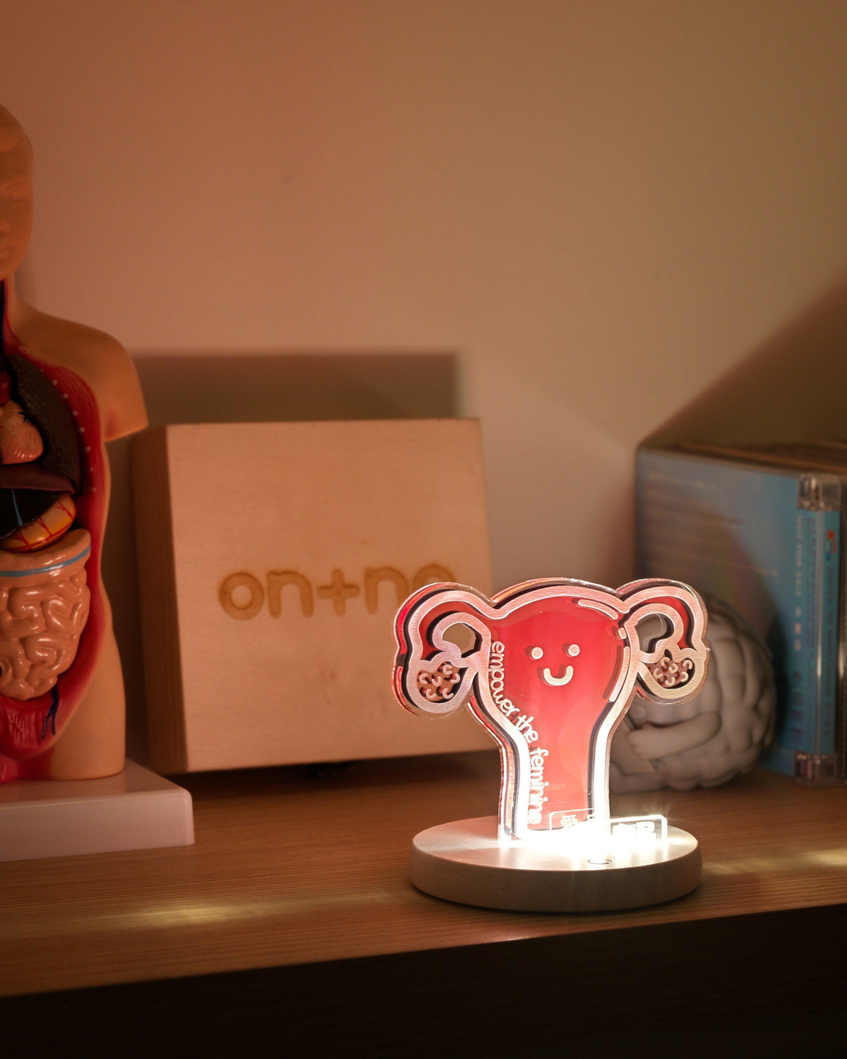 Uterus Night Light