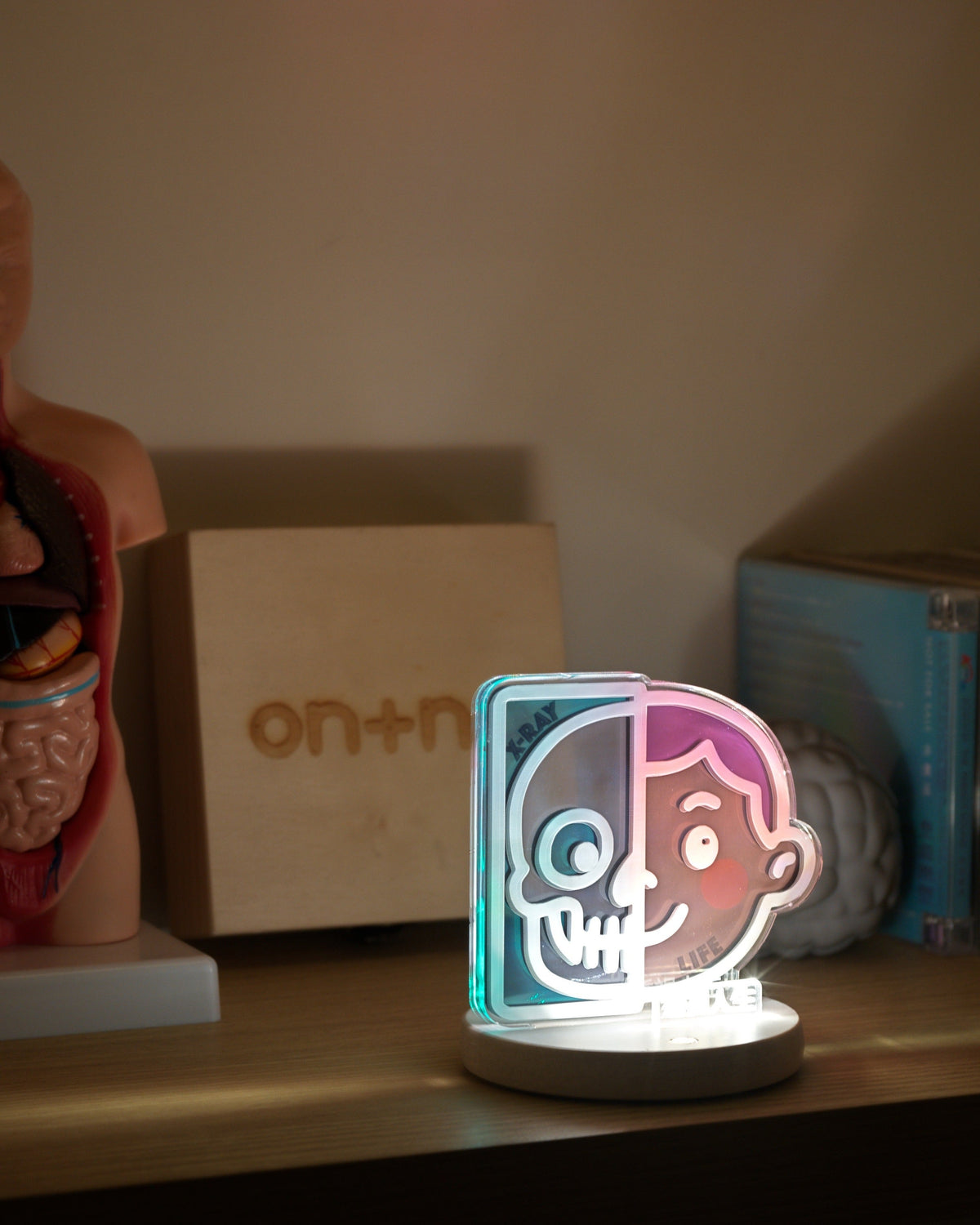 X-ray Night Light