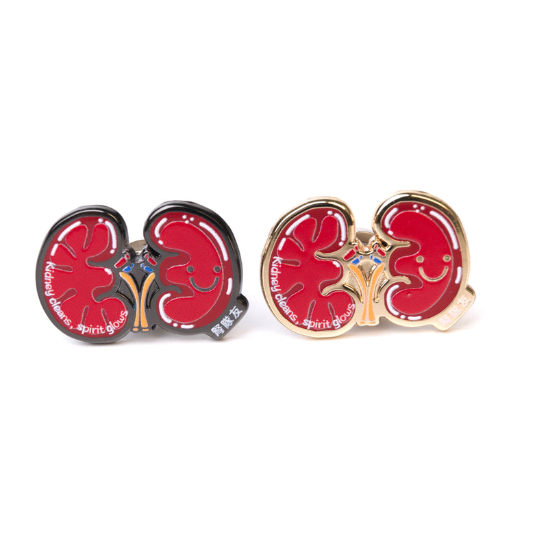Organ Pin - Kidney