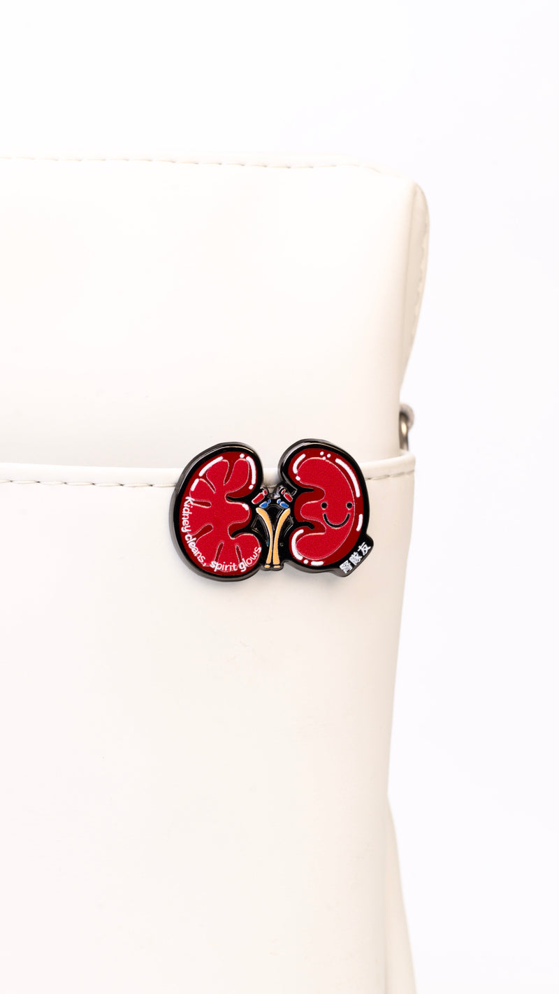 Organ Pin - Kidney